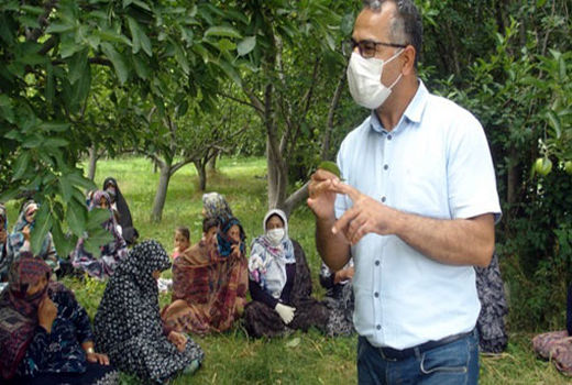 برگزاری دوره آموزشی مبارزه با آفات و بیماری‌های لوبیا چیتی توسط مرکز تحقیقات کشاورزی آذربایجان شرقی