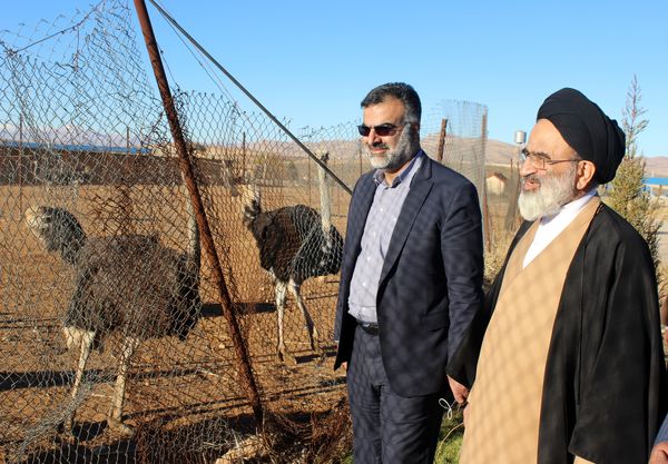  زنجیره‌ها در تحقق اقتصاد مقاومتی نقش بسزایی دارند