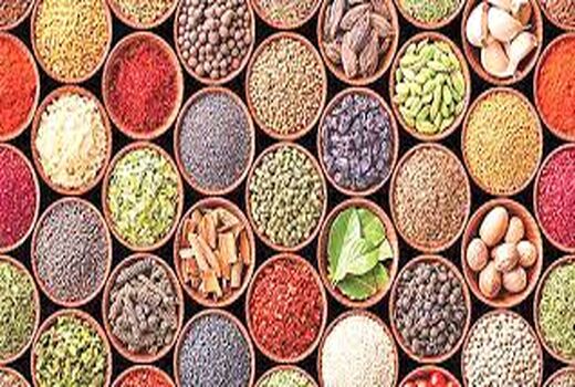 کشت گیاهان دارویی و مرتعی در سطح ۳۵۰۰ هکتار از مراتع  استان سمنان