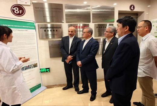 تبادل تجربیات در حوزه علوم کشاورزی/ همکاری‌های علمی ایران و چین تقویت می‌شود
