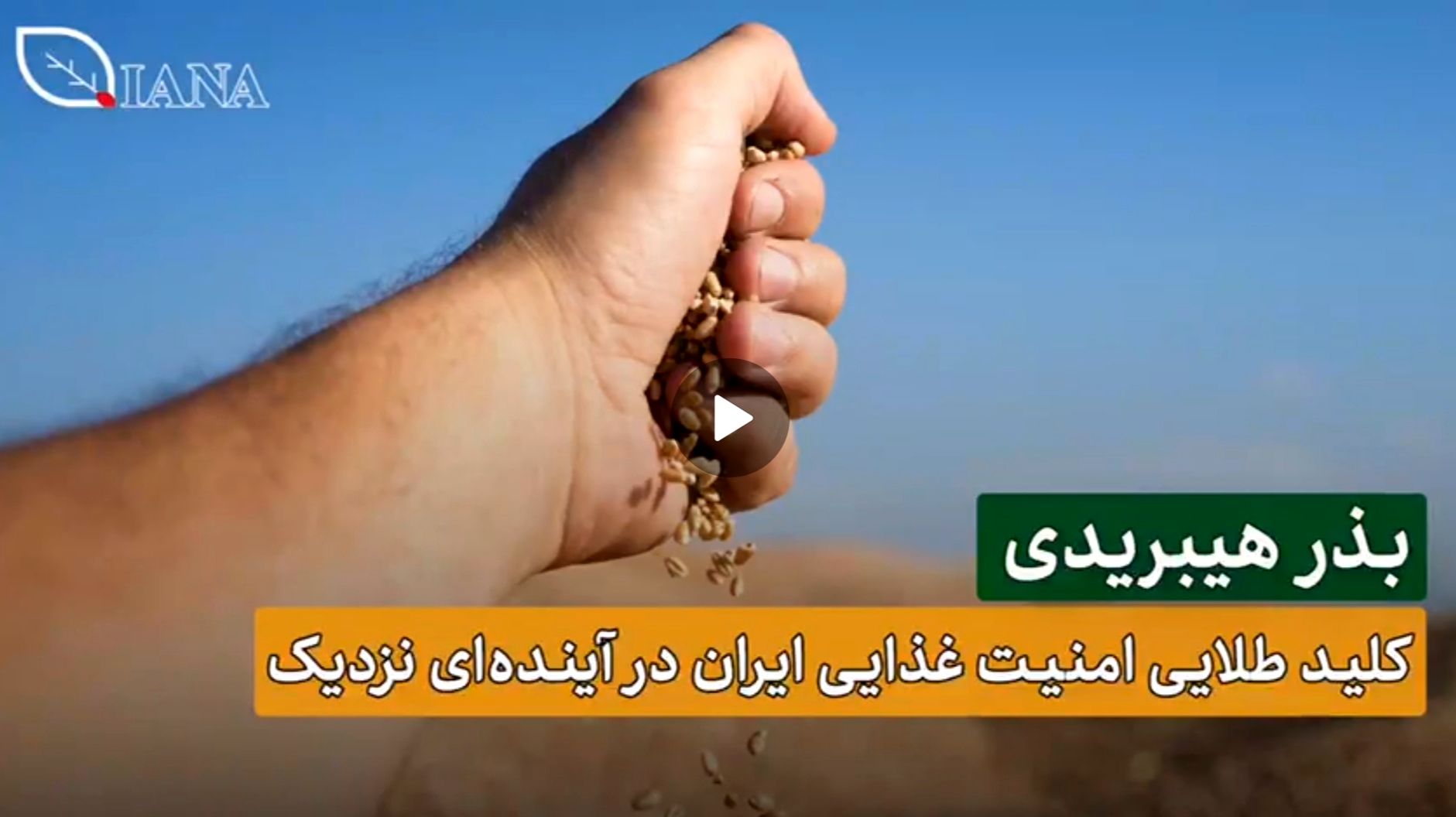 بذر هیبریدی، بذر آینده و کلید طلایی امنیت غذایی 