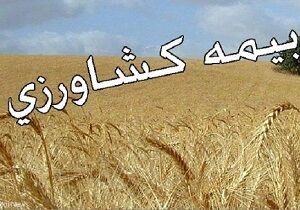 پرداخت بالاترین درصد غرامت‌ کشاورزان خسارت دیده خراسان جنوبی