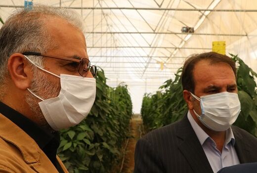 سرمایه لازم برای متقاضیان گلخانه فراهم می شود