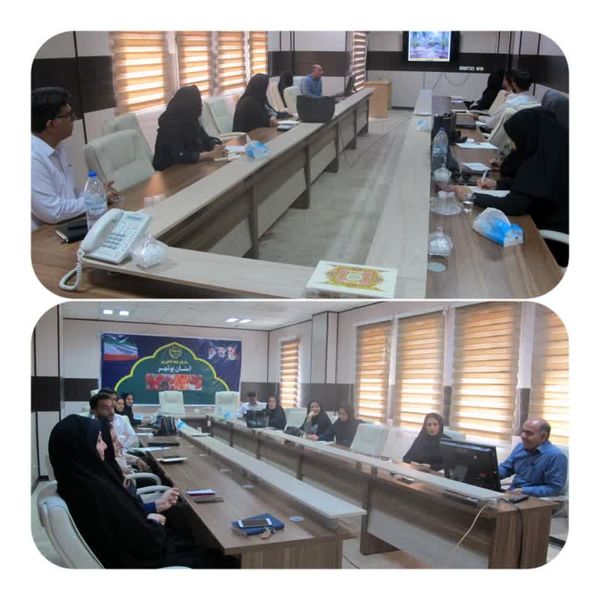  شناسایی، ردیابی و کنترل آفت سوسک سرخرطومی حنایی خرما در بوشهر