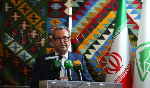  چشم‌انداز تحول درآمدی عشایر؛ تلاش برای افزایش سهم صنایع‌دستی از ۶ به ۳۰ درصد