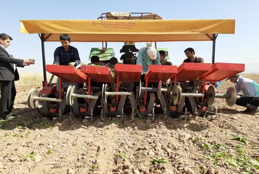 روز مرزعه کشت نشایی چغندر قند در اراضی کشاورزی شهرستان آبیک برگزارشد