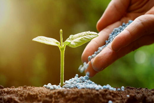 توزیع بیش از ۷۳ هزار تن انواع کود یارانه ای در  آذربایجان غربی
