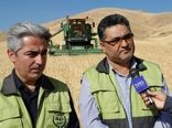 برداشت خوشه‌های طلایی از مزارع کردستان آغاز شد