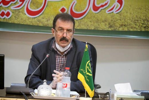 اعطای 16 میلیارد تومان یارانه به شرکت‌های تولید بذر در خوزستان