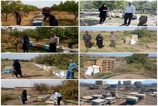 آمارگیری از زنبورستان‌های استان هم‌زمان با سراسر کشور