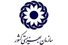 جانشین رییس سازمان بهزیستی تعیین شد