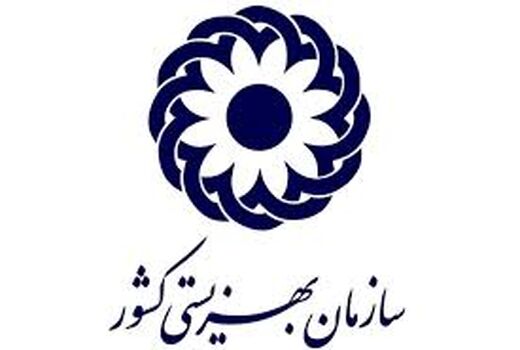 جانشین رییس سازمان بهزیستی تعیین شد