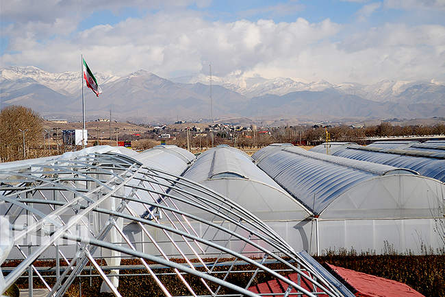 گلخانه