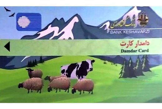 پرداخت 9 میلیاردی تسهیلات دامدار کارت به دامداران بابلسری