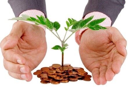 سهم  ۲۷درصدی بخش کشاورزی در  تولید ناخالص کردستان