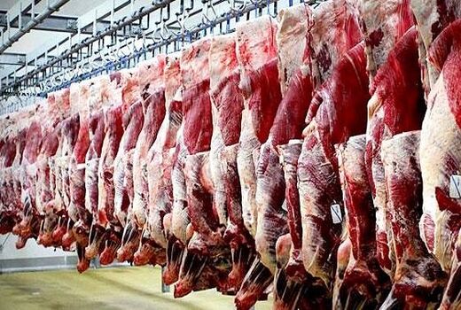 تداوم تولید گوشت قرمز با تامین سرمایه در گردش واحدهای پرواربندی