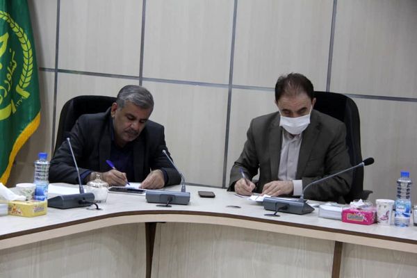 خرید بالغ بر ۶۱ هزار تن گندم مازاد بر نیاز کشاورزان استان لرستان