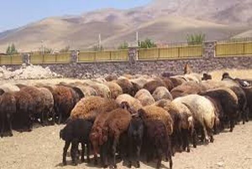 سه واحد دامداری در شهرستان بهارستان احیا شد