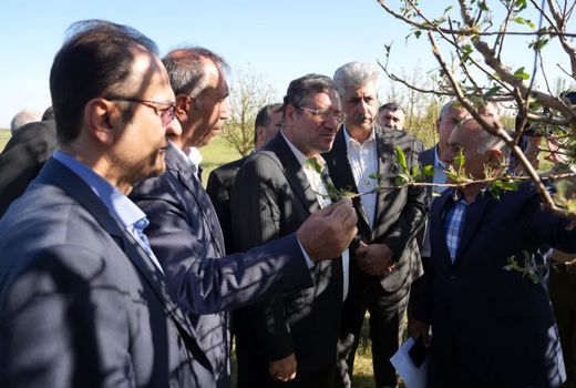 چهار همت خسارت ناشی از حوادث غیر مترقبه به بخش کشاورزی آذربایجان‌ غربی