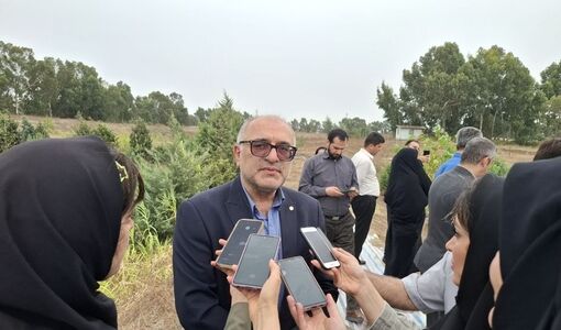 رکوردشکنی در پرورش میگو در مازندران /ظرفیت بالای صادرات با کیفیت جهانی و بازگشت سرمایه سریع

