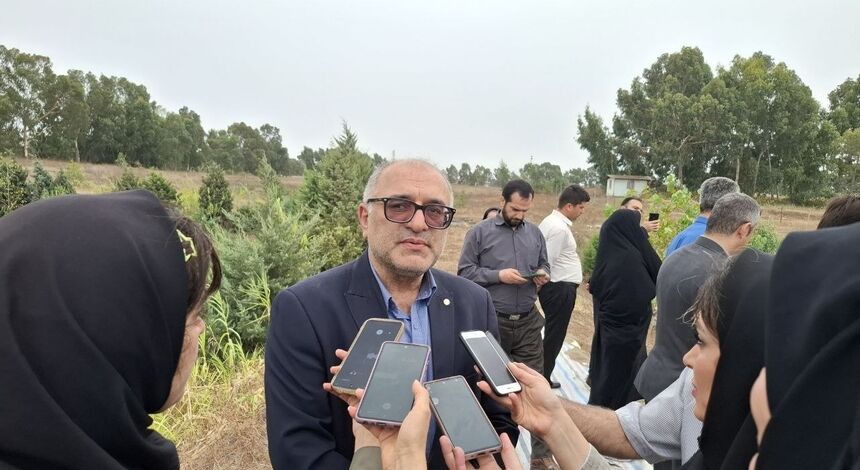 رکوردشکنی در پرورش میگو در مازندران /ظرفیت بالای صادرات با کیفیت جهانی و بازگشت سرمایه سریع

