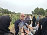 رکوردشکنی در پرورش میگو در مازندران /ظرفیت بالای صادرات با کیفیت جهانی و بازگشت سرمایه سریع
