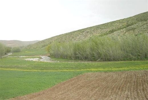 ۱۰۳ هکتار از اراضی دولتی خراسان رضوی مسترد شد