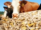 روش‌های سنتی پاسخگوی نیاز غذایی جهان نیست
