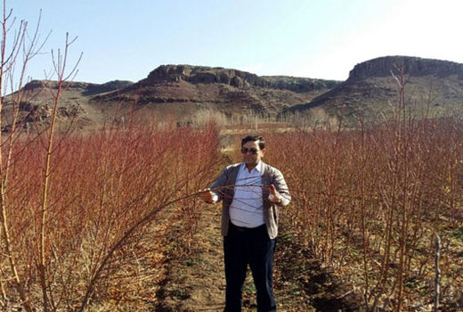  ثبت اراضی قطعات کشاورزی در شهرستان اهر