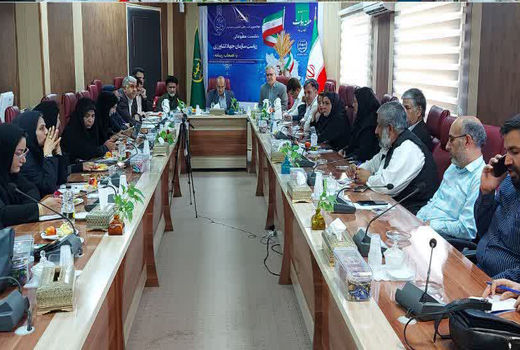 بهره برداری از ۲۴۸ پروژه بخش کشاورزی سیستان و بلوچستان در هفته دولت