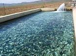 یکهزار و ۶۰۰ تن انواع ماهی در خراسان شمالی تولید شد