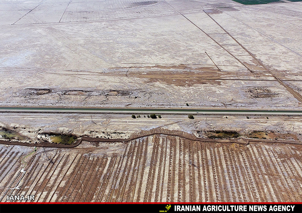 بیابان‌زایی